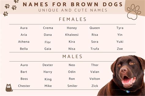 brown black dog names|names for brown dogs female.